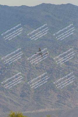 media/Apr-12-2025-Race Pace (Sat) [[9230add55f]]/Vested/6-Turn 4 Tree of Life (115pm)/